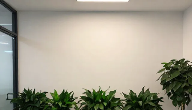 技术型企业如何避免对处理方法的理解偏差